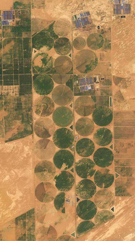 ▲图为人们在内蒙古乌兰布和沙漠处开垦的农田，将沙漠“变沙为土”。卫星图像来源：天地图